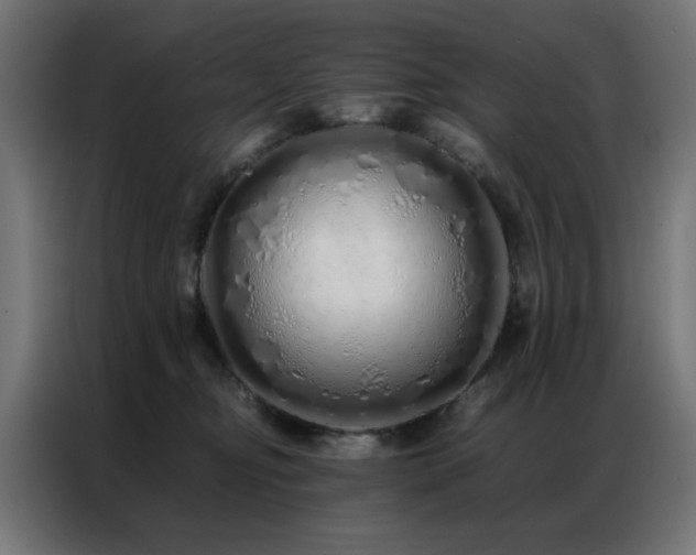 X0000086990374200704161510