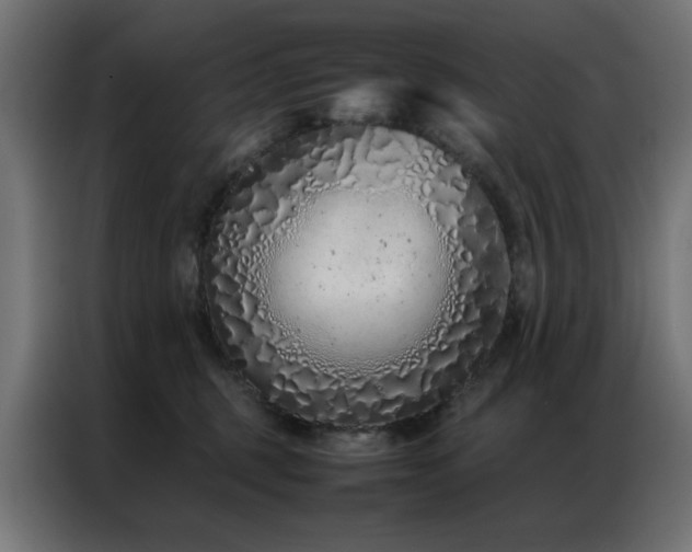 X0000086990375200704161510