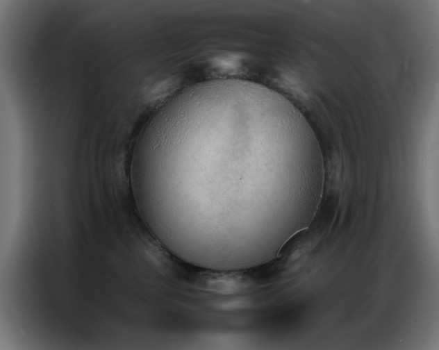 X0000086990377200704161510