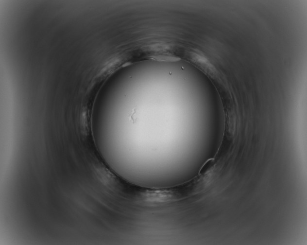 X0000086990378200704161510