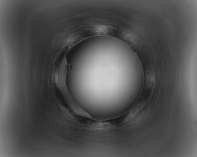 X0000086990379200704161510