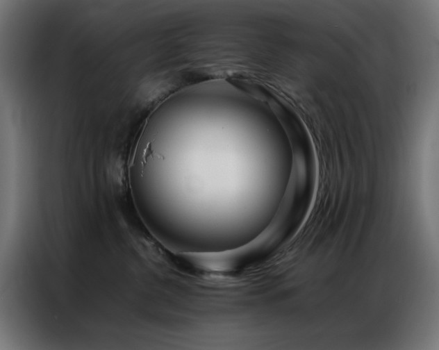 X0000086990380200704161510