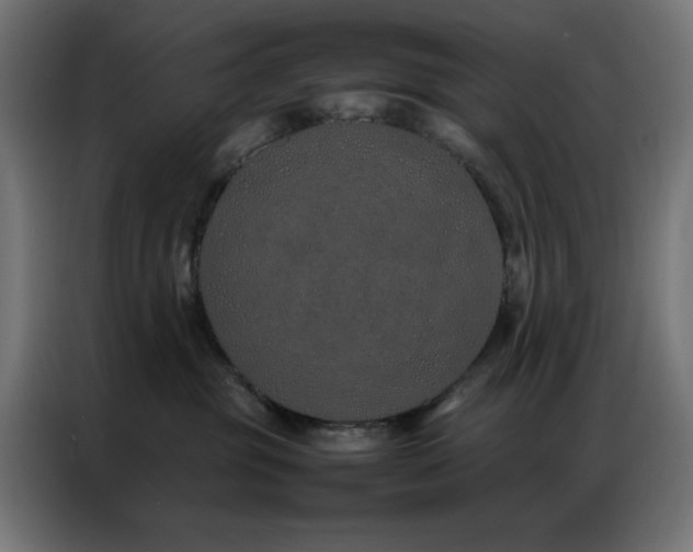 X0000086990381200704161510