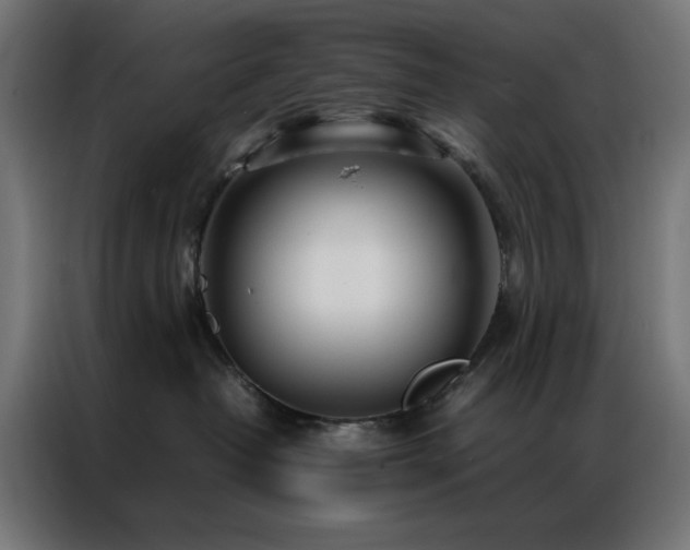 X0000086990382200704161510