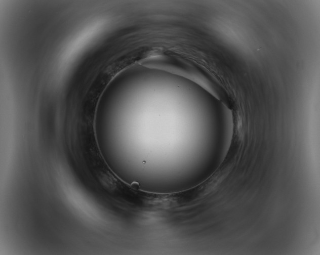X0000086990383200704161510