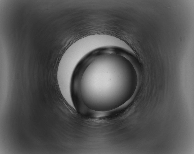 X0000086990384200704161510
