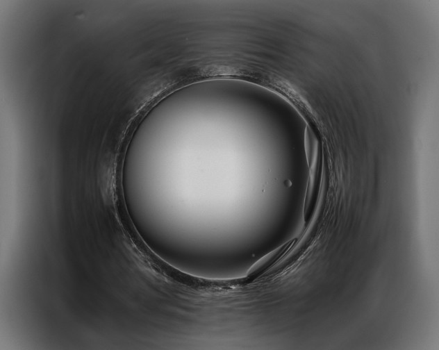 X0000086990386200704161510