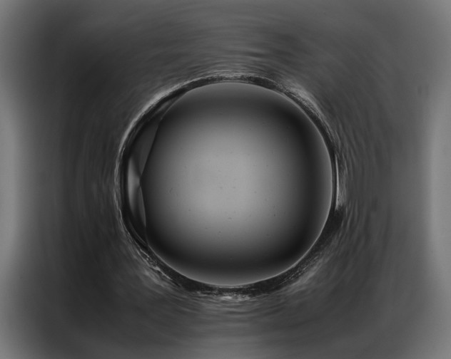 X0000086990387200704161510