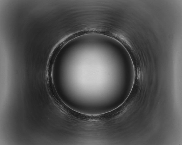 X0000086990388200704161510