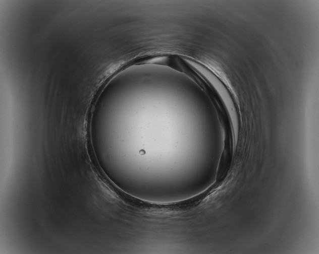 X0000086990389200704161510