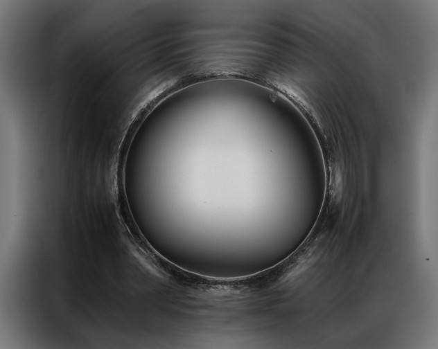 X0000086990390200704161510