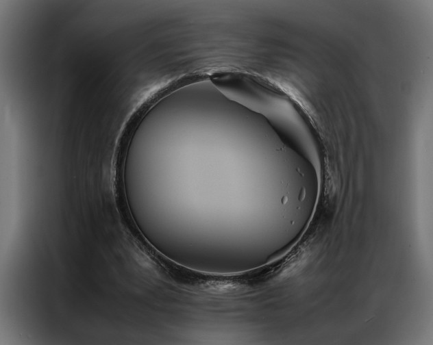 X0000086990391200704161510