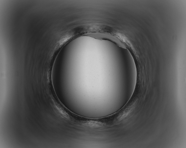 X0000086990393200704161510