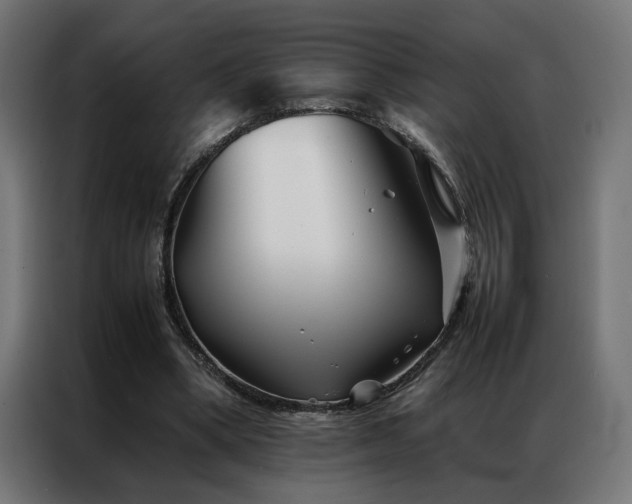 X0000086990394200704161510