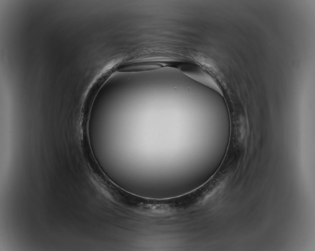 X0000086990395200704161510