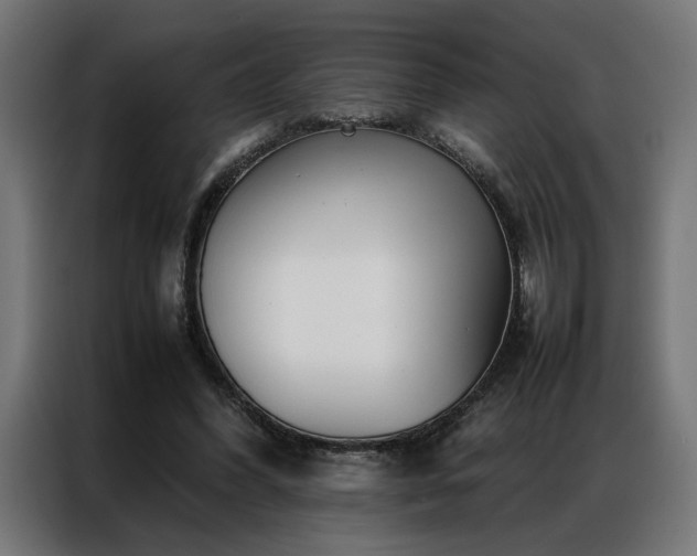 X0000086990396200704161510
