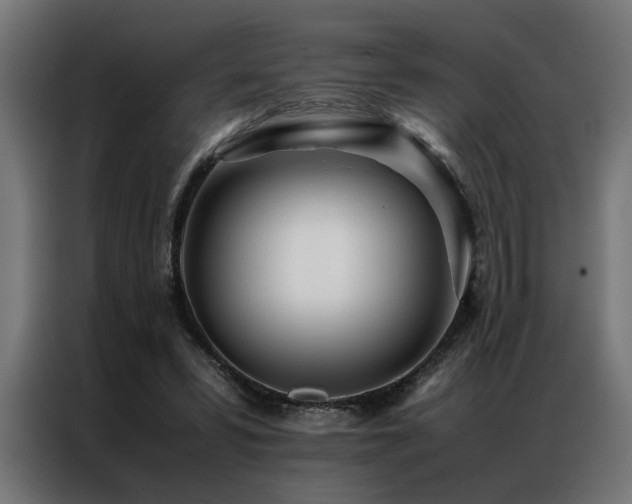 X0000086990399200704161509