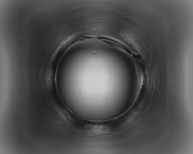 X0000086990400200704161509