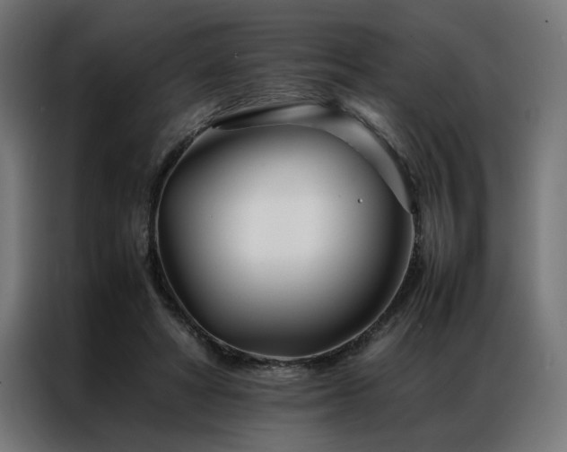 X0000086990402200704161509