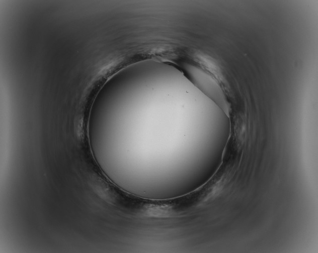 X0000086990403200704161509