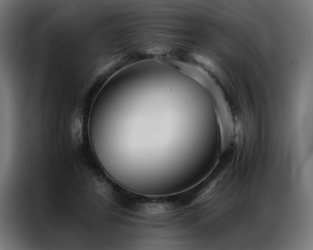 X0000086990404200704161509