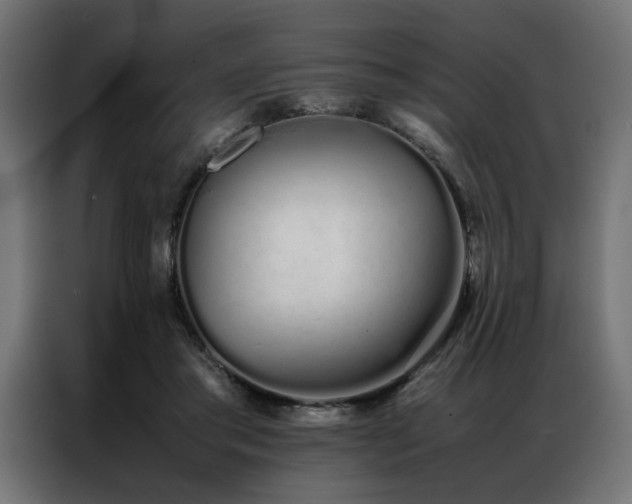 X0000086990405200704161509