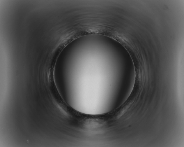 X0000086990408200704161509