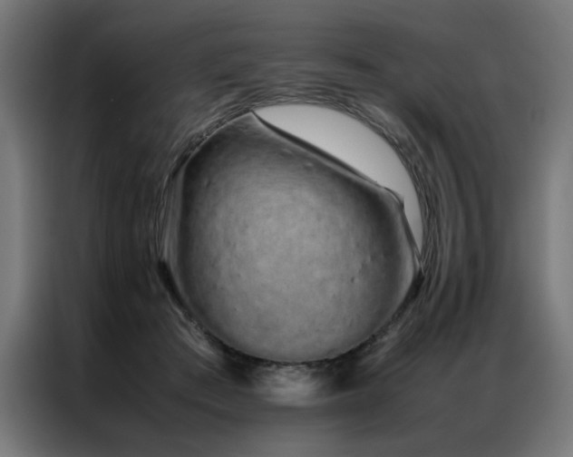 X0000086990409200704161509