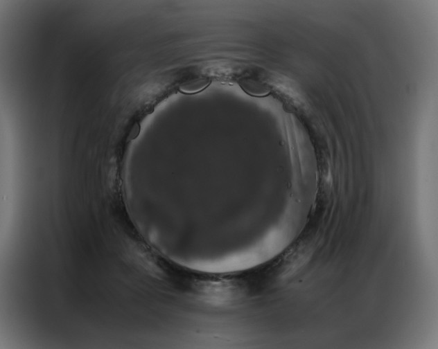 X0000086990411200704161509