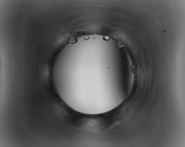 X0000086990412200704161509