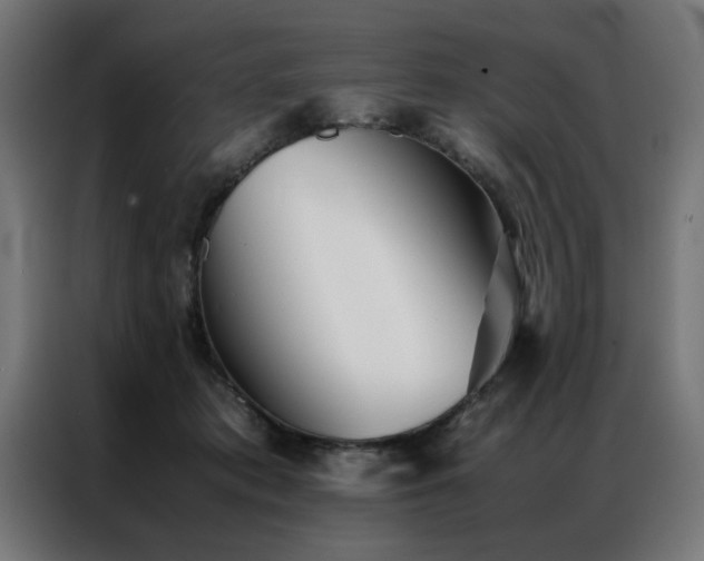 X0000086990413200704161509