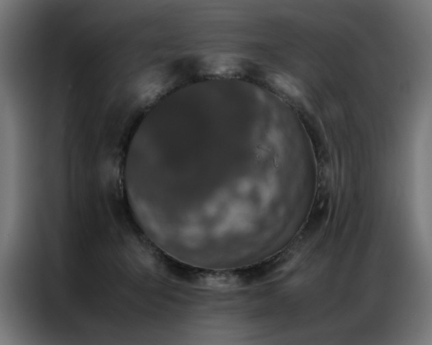 X0000086990415200704161509