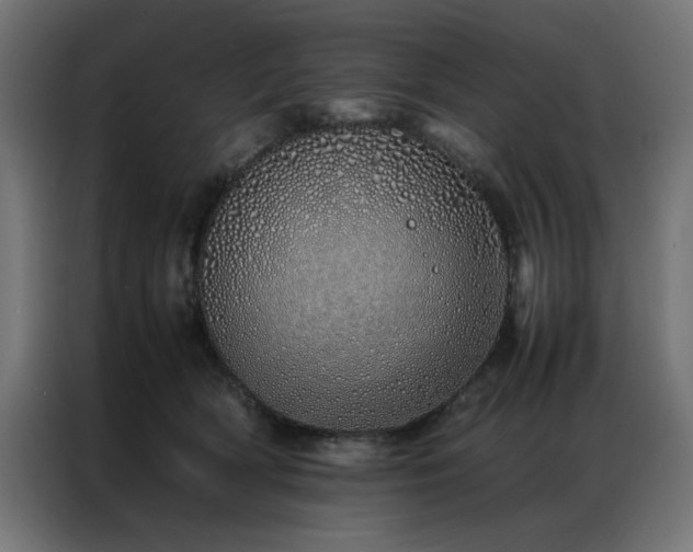 X0000086990418200704161509