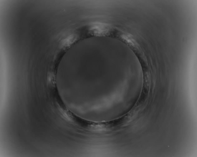 X0000086990419200704161509