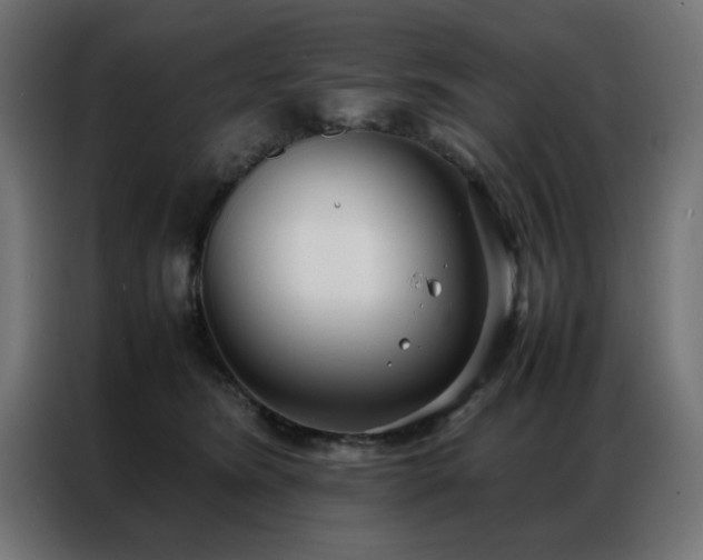 X0000086990420200704161509