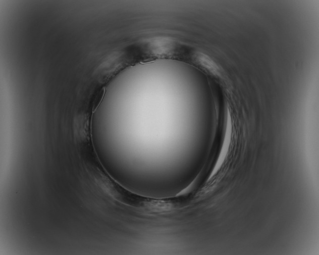 X0000086990421200704161509