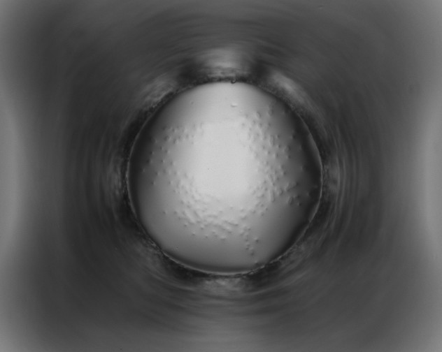 X0000086990422200704161509