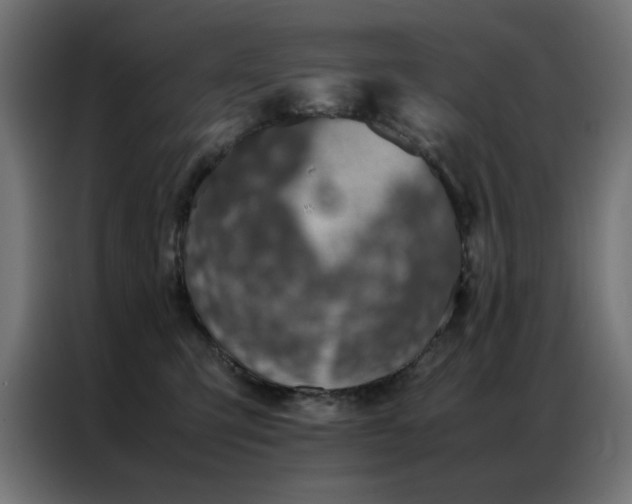 X0000086990423200704161509