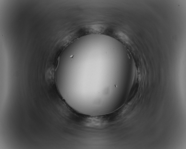 X0000086990425200704161509