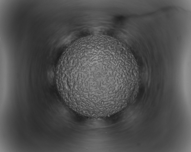 X0000086990427200704161509