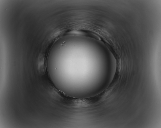 X0000086990428200704161509