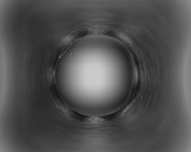 X0000086990429200704161509