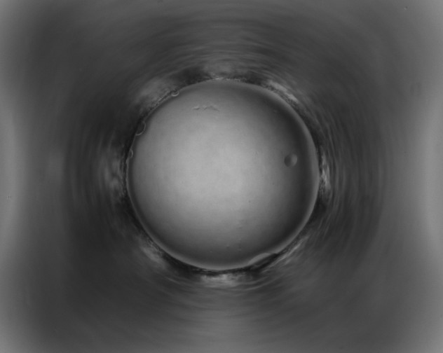 X0000086990430200704161509