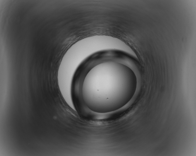 X0000086990432200704161509