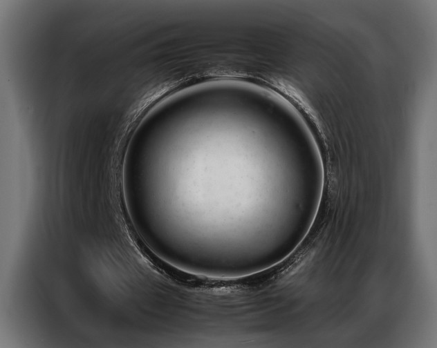X0000086990433200704161509