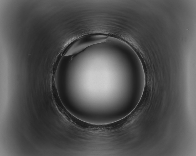 X0000086990434200704161509