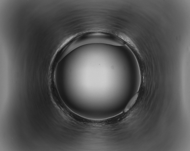 X0000086990436200704161509