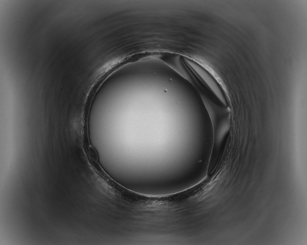 X0000086990437200704161509