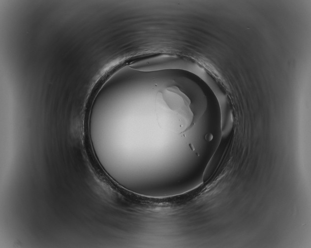 X0000086990438200704161509