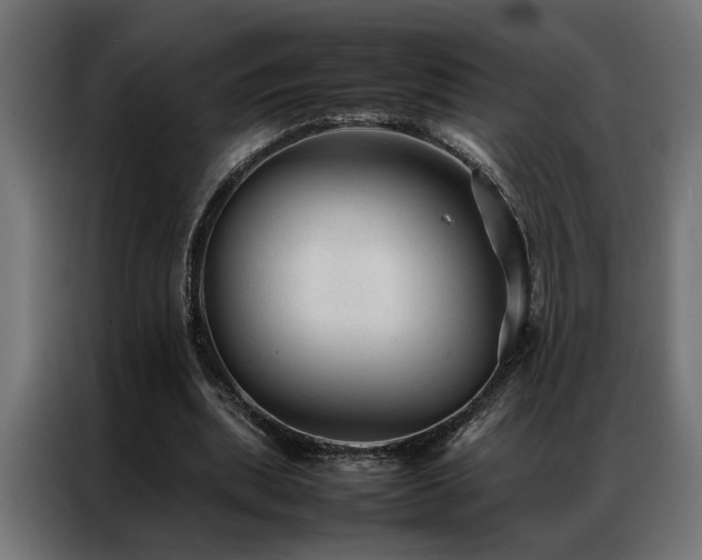 X0000086990439200704161509